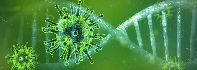 Maximale vergoeding TVL omhoog Maximale vergoeding TVL omhoog