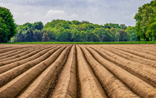 Personeel inlenen in 2020 Personeel inlenen in 2020