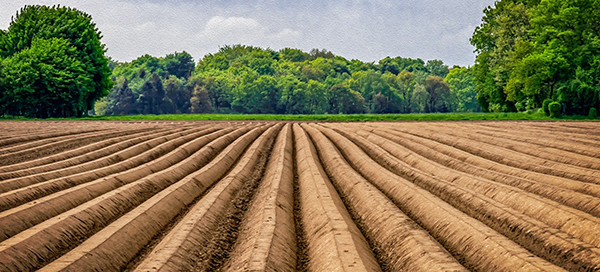 Personeel inlenen in 2020 Personeel inlenen in 2020