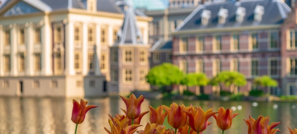 Top 10 Prinsjesdag 2021 Top 10 Prinsjesdag 2021