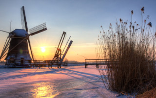 Nieuwsbrief januari 2021 Nieuwsbrief januari 2021