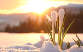 Nieuwsbrief februari 2021