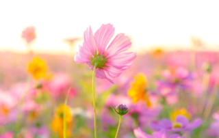 Nieuwsbrief maart 2021