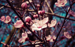 Nieuwsbrief april 2021