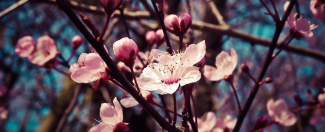 Nieuwsbrief april 2021 Nieuwsbrief april 2021