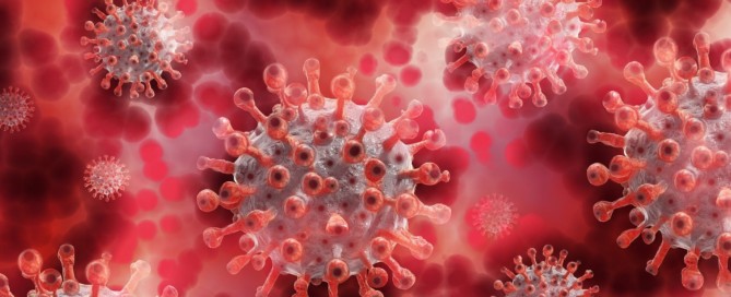 TVL voor tweede kwartaal 2021 nu aan te vragen TVL voor tweede kwartaal 2021 nu aan te vragen