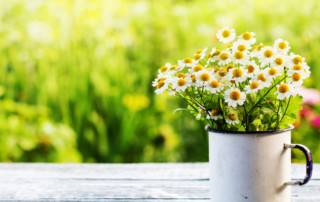 Nieuwsbrief juni 2021 Nieuwsbrief juni 2021