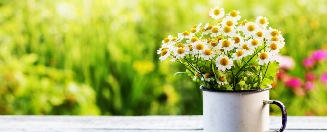 Nieuwsbrief juni 2021 Nieuwsbrief juni 2021