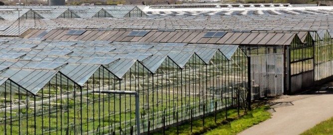 Subsidieregeling glastuinbouw uitgebreid Subsidieregeling glastuinbouw uitgebreid