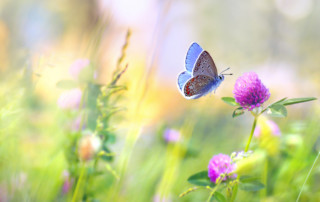 Nieuwsbrief juli 2021 Nieuwsbrief juli 2021