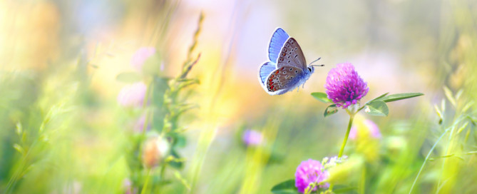 Nieuwsbrief juli 2021 Nieuwsbrief juli 2021