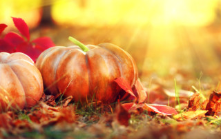 Nieuwsbrief oktober 2021