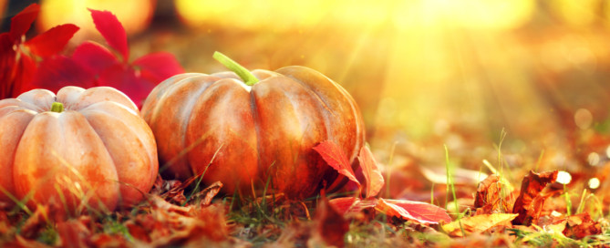 Nieuwsbrief oktober 2021 Nieuwsbrief oktober 2021