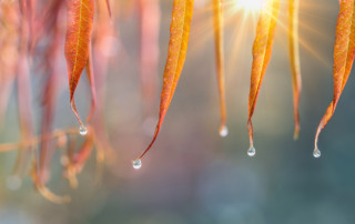 Nieuwsbrief november 2021