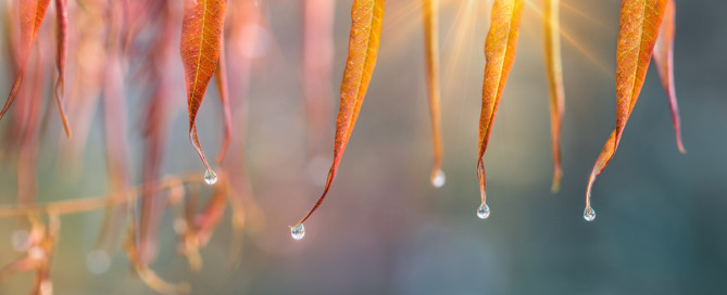 Nieuwsbrief november 2021 Nieuwsbrief november 2021