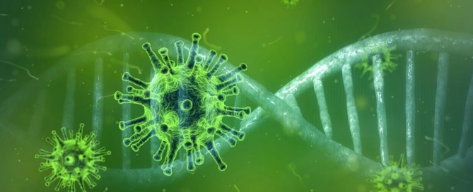 Uitkering TVL en TOGS onbelast, NOW belast Uitkering TVL en TOGS onbelast, NOW belast