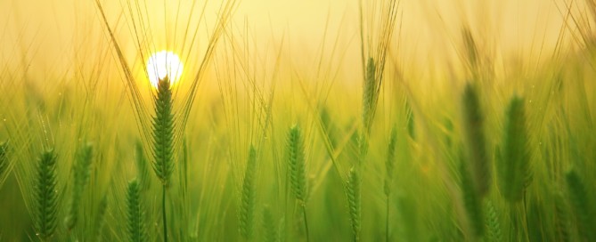 Landbouwnormen 2021 bekend Landbouwnormen 2021 bekend