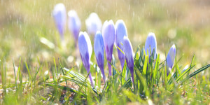 Nieuwsbrief februari 2022