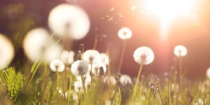 Nieuwsbrief maart 2022