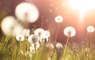 Nieuwsbrief maart 2022 Nieuwsbrief maart 2022