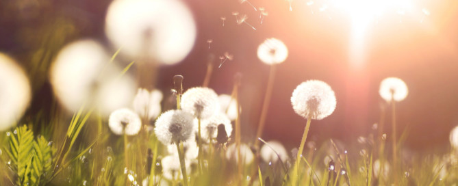 Nieuwsbrief maart 2022 Nieuwsbrief maart 2022