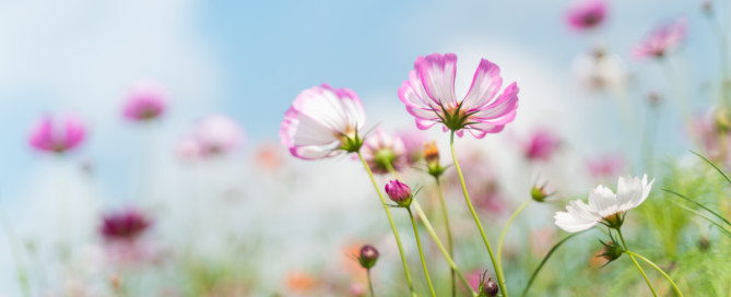 Nieuwsbrief april 2022 Nieuwsbrief april 2022