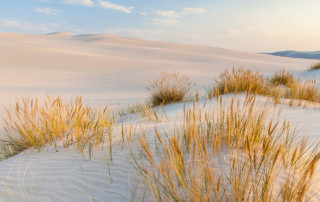 Nieuwsbrief mei 2022 Nieuwsbrief mei 2022