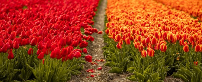 Meer tijd voor definitieve vaststelling subsidie OVK Meer tijd voor definitieve vaststelling subsidie OVK