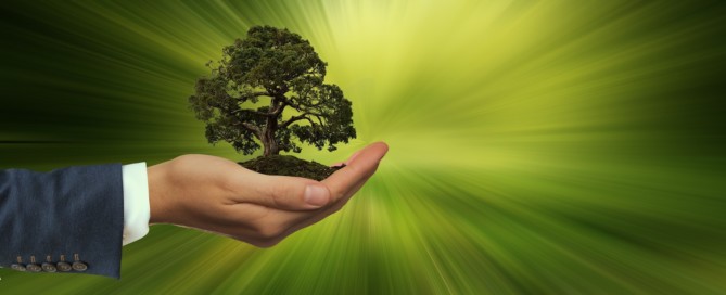 Impact verplichte duurzaamheidsrapportage CSRD op de onderneming Impact verplichte duurzaamheidsrapportage CSRD op de onderneming