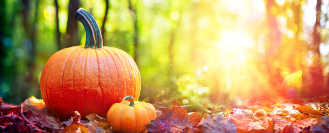 Nieuwsbrief oktober 2022 Nieuwsbrief oktober 2022