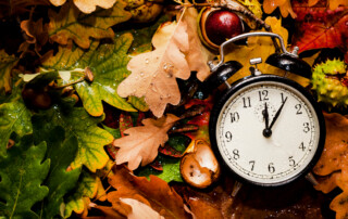 Special Eindejaarstips 2022 Special Eindejaarstips 2022