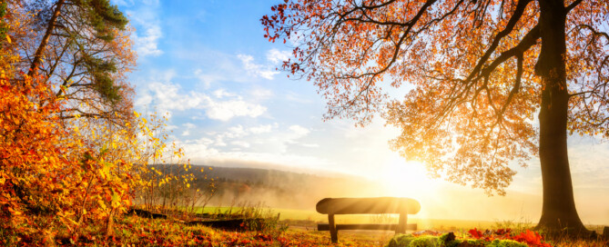 Nieuwsbrief november 2022 Nieuwsbrief november 2022