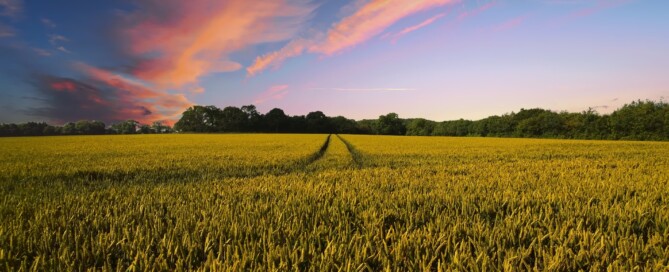 Diverse landbouwnormen 2022 bekend Diverse landbouwnormen 2022 bekend