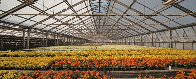 Duidelijkheid over loonbelastingtabel voor vluchteling uit Oekraïne Duidelijkheid over loonbelastingtabel voor vluchteling uit Oekraïne