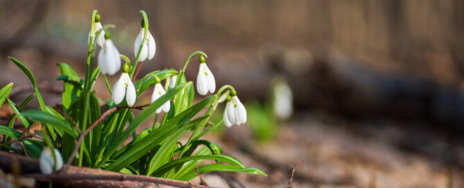 Nieuwsbrief februari 2023 Nieuwsbrief februari 2023
