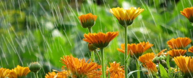 Nieuwsbrief maart 2023 Nieuwsbrief maart 2023