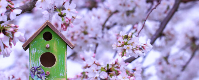 Nieuwsbrief april 2023 Nieuwsbrief april 2023