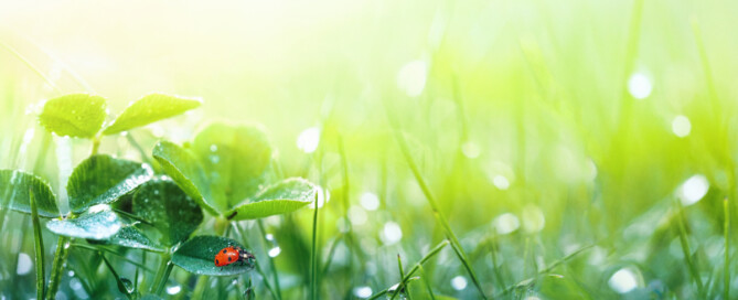 Nieuwsbrief mei 2023 Nieuwsbrief mei 2023