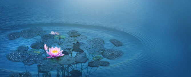 Nieuwsbrief februari 2024 Nieuwsbrief februari 2024