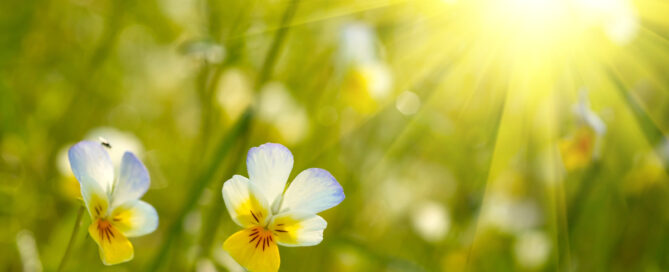 Nieuwsbrief maart 2024 Nieuwsbrief maart 2024