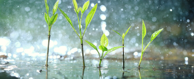 Nieuwsbrief juni 2024 Nieuwsbrief juni 2024