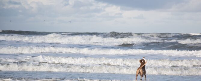 Nieuwsbrief januari 2025 Nieuwsbrief januari 2025