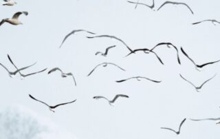 Nieuwsbrief februari 2025 Nieuwsbrief februari 2025