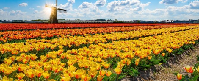 Nieuwsbrief maart 2025 Nieuwsbrief maart 2025