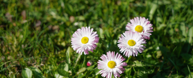 Nieuwsbrief juni 2025 Nieuwsbrief juni 2025