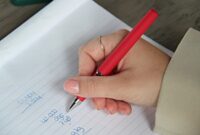 Belastingdienst wijst op gebruikelijkheidseis WKR