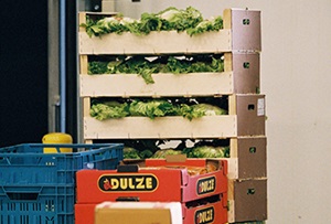 Landbouwnormen voor winstberekening bekendgemaakt