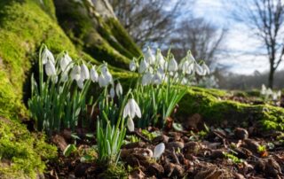 Nieuwsbrief februari 2026 Nieuwsbrief februari 2026