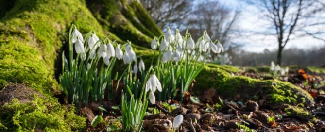 Nieuwsbrief februari 2026 Nieuwsbrief februari 2026