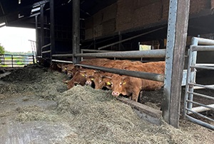 Agrarische normbedragen erf- en schenkbelasting bekend